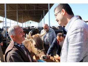 Kutlu Doğum Haftası