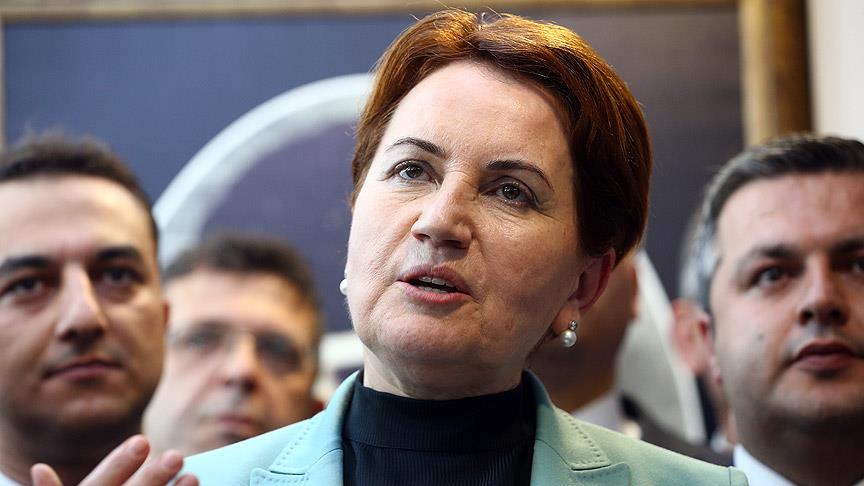 Akşener, AP Türkiye Raportörü Piri ile görüştü