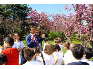 TBMM Parkı'ndaki biyolojik çeşitlilik öğrencilere tanıtılıyor