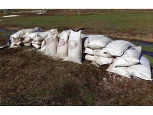 Van'da terör operasyonu