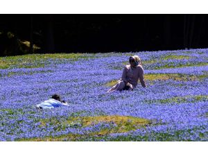 Kadıralak Yaylası "mavi yıldız"lar ile süslendi