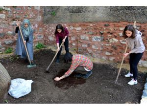 Üniversite bahçesinde organik tarım