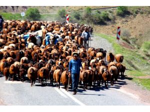 Tarihi köprü göçerlerin geçiş yolu