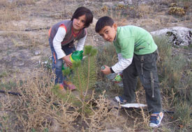 Her öğrenciye bir fidan