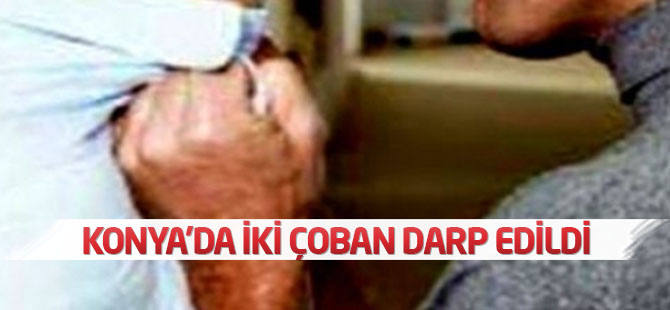 Konya'da iki çoban darp edildi