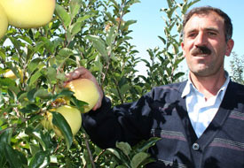 Ispartalılar Beyşehir'de elma üretiyor