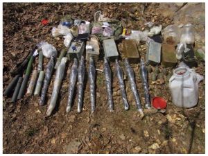 Bingöl'de terör operasyonu