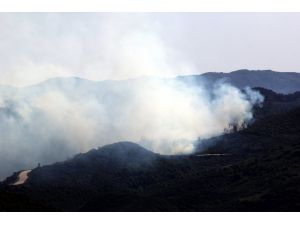 Suriye-Türkiye sınırındaki orman yangını