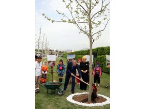 Dünya çocuklarından Külliye'nin bahçesine "Medeniyet Ağacı"