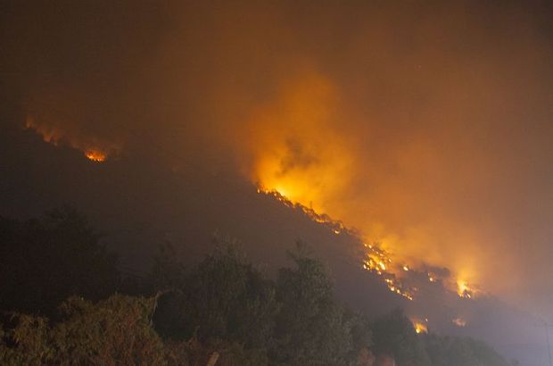 Balıkesir'de orman yangını
