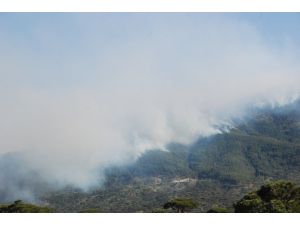 GÜNCELLEME - Aydın'da orman yangını