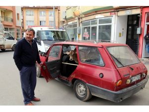 Adalet Bakanı Bozdağ, Trabzon'da