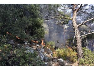 Bodrum'daki orman yangını söndürüldü