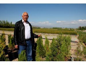 Seydişehir'den Türkiye'nin dört bir yanına fidan gidiyor