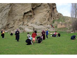 Madımağı görünce kültür yolunu unuttular