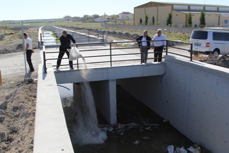 Cihanbeyli’de bahar çalışmaları