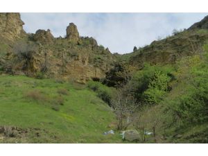 Kelebekler Vadisi "tabiat parkı" ilan edildi