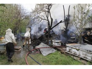 Çankırı'da 30 kovan arı yangında telef oldu