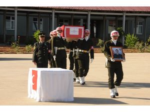 Nusaybin'deki terör operasyonu