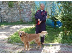 Parkinson hastalığına "can dostu"yla direniyor