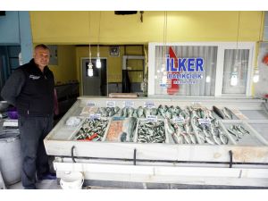 Tezgahlarda hamsinin yerini levrek ve çipura aldı