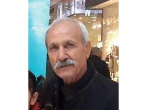 Üzerine ağaç devrilen emekli öğretmen öldü