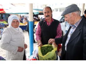 Madımak bitkisi tezgahlardaki yerini aldı