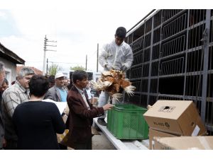 Eskişehir'de çiftçilere tavuk ve hindi dağıtıldı