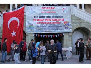 Çanakkale Kara Savaşları'nın 101. yılı