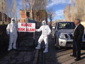 Ağrı'da "kuduz" karantinası