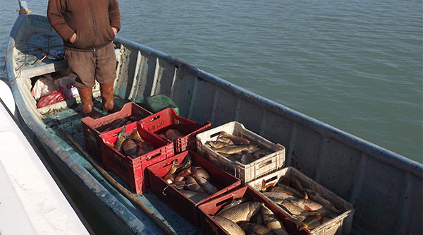 Beyşehir Gölü'nde Denetim Yapan Ekibe Silahlı Saldırı