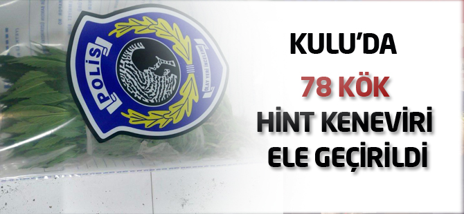 Kulu’da 78 kök hint keneviri ele geçirildi