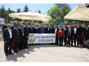 Sivrihisar'da doğayı yeşillendirme çalışmaları