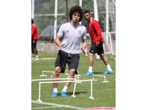 "Tomi" ötanaziden kendi kanıyla kurtuldu