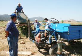 Balıkçı motorları pancar suluyor