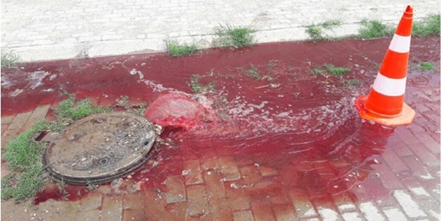 Aydın'da bir rögardan fışkıran kan paniğe neden oldu, gerçek sonra anlaşıldı