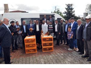 Sivas Ziraat Odası çiftçilere tavuk dağıttı
