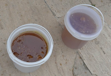 20 kilo kaçak bal ele geçirildi