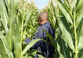 Karapınar'da uygulamalı eğitim