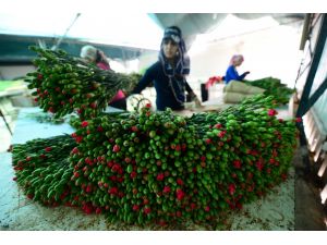 Annelerin çiçekleri kadınların elinden geçiyor