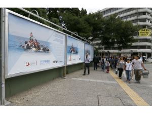 Yasa dışı göçe karşı afişli önlem