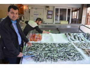 Hamsi  25 TL'yi gördü