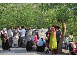 Nusaybin'deki terör operasyonu
