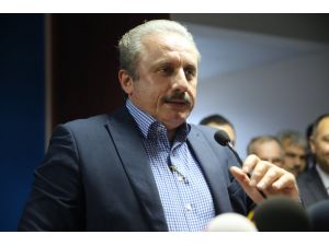 TBMM Anayasa Komisyonu Başkanı Şentop: