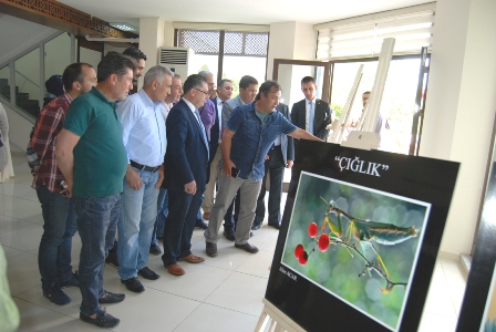 “ Çığlık “isimli fotoğraf sergisi açıldı
