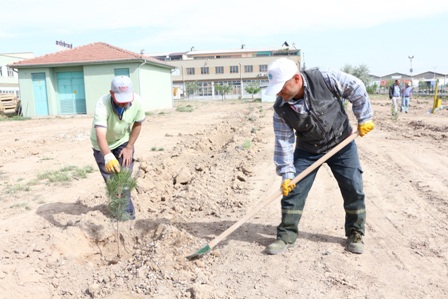 Karatay’da ağaçlandırma sürüyor
