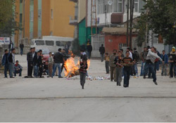 Teröre karşı YEŞİL KART kozu