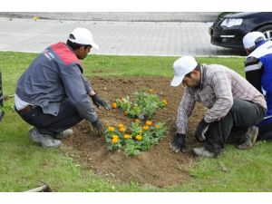 Gürün'de park bahçe onarım çalışmaları başladı