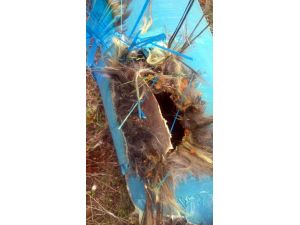 Bomba sanılan "filtre" fünyeyle patlatıldı