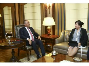 Çavuşoğlu, AKPM raportörleri Vuckovic ve Godskesen’i kabul etti